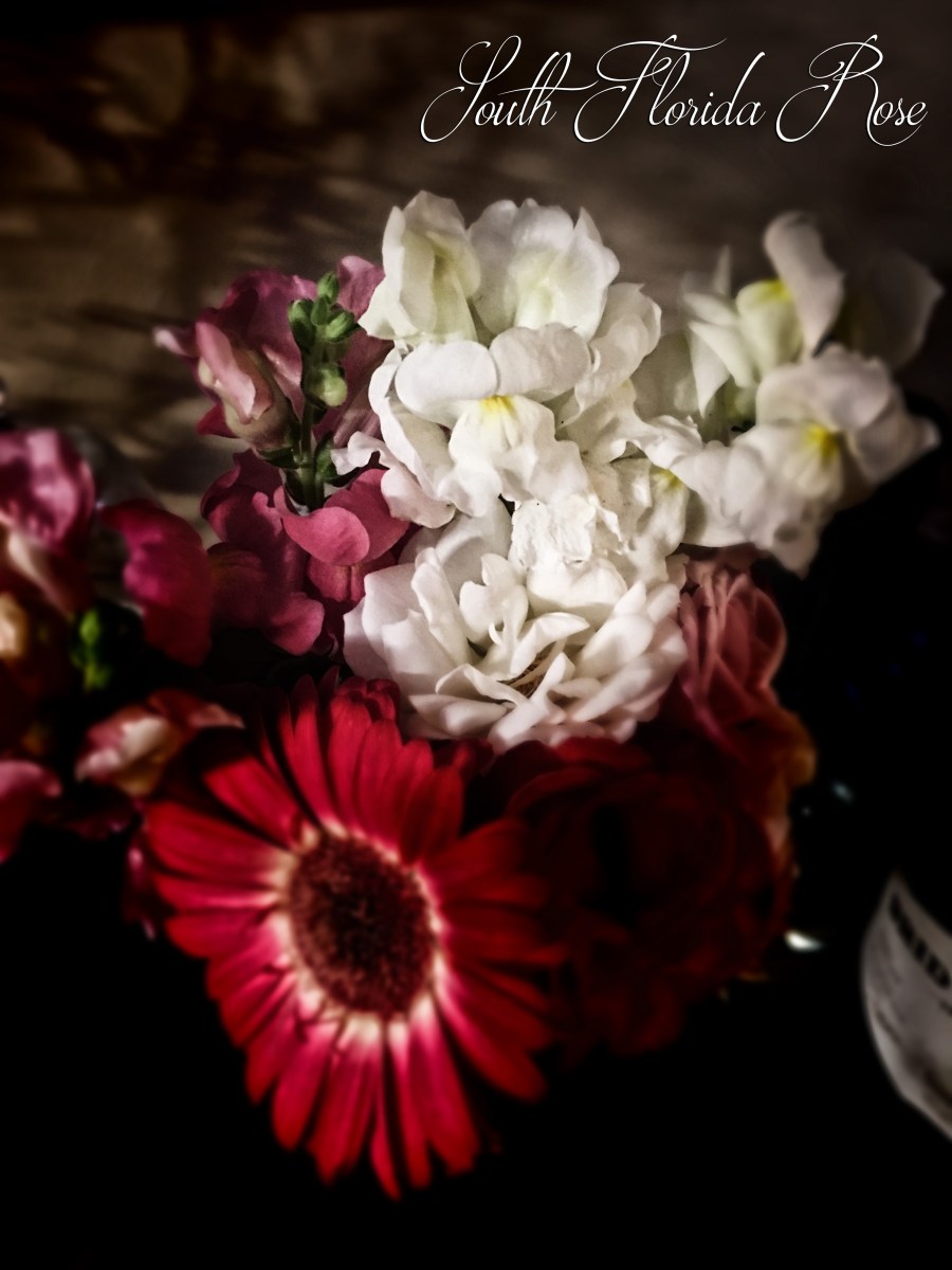 Gerber Daisy and Snapdragons