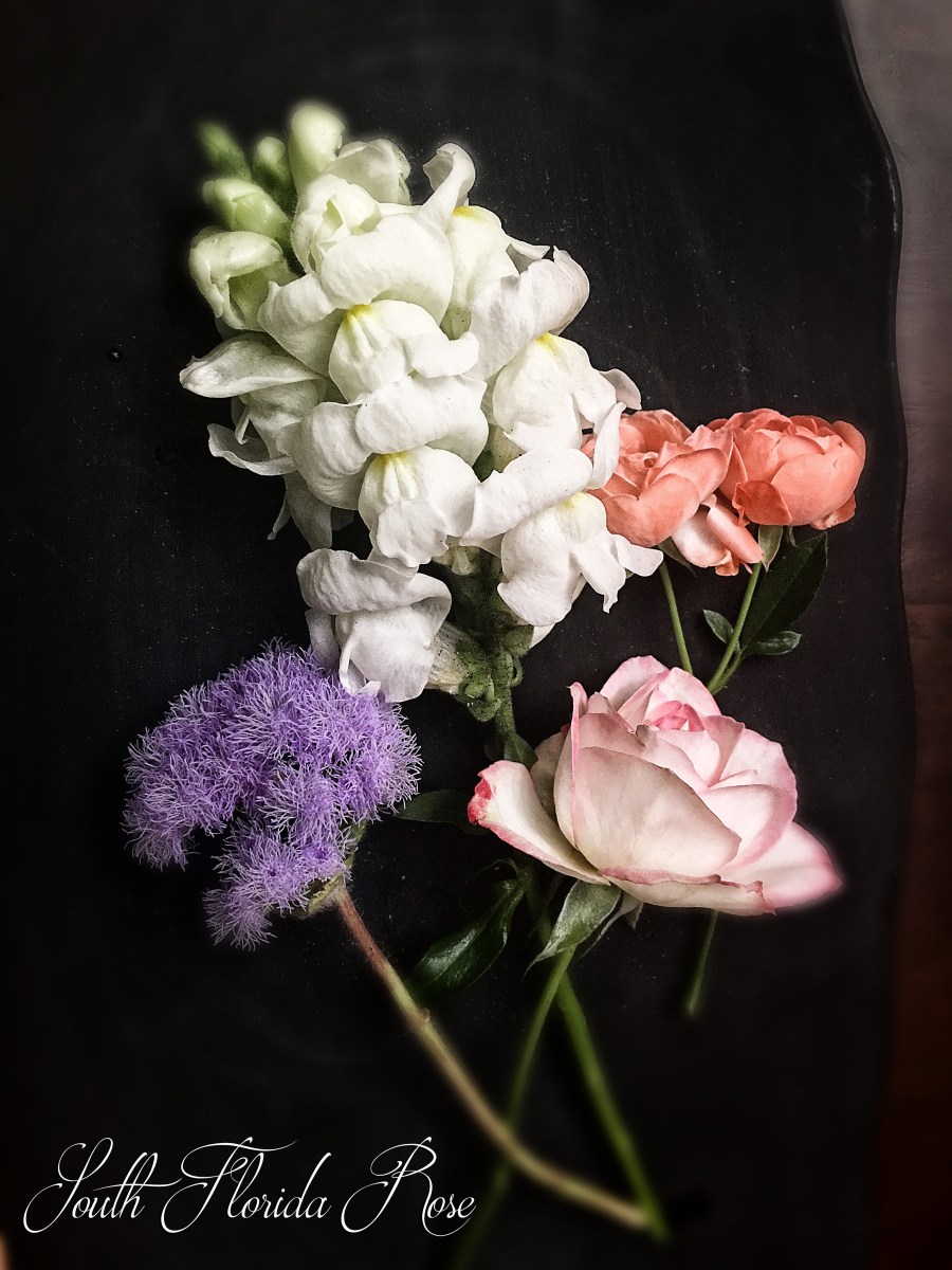 Margot Koster and Cherry Parfait