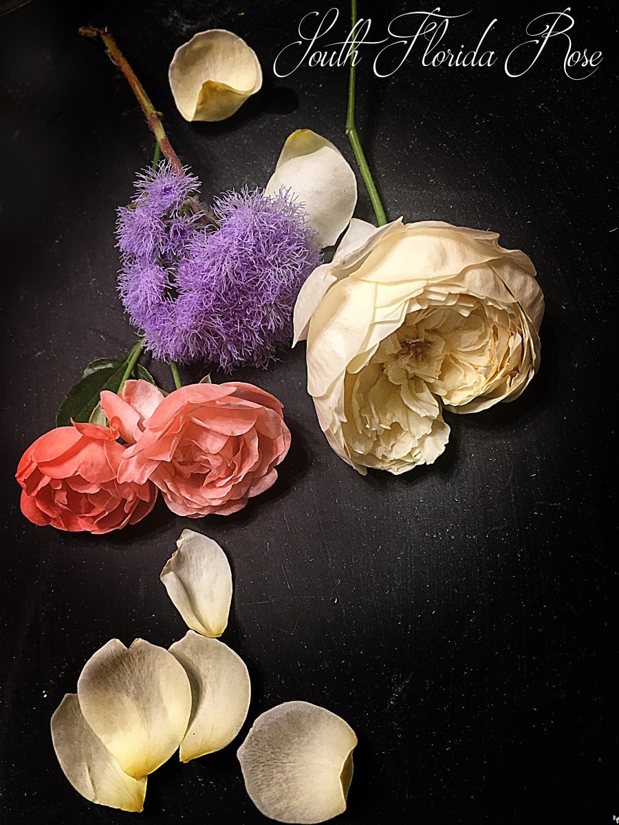 Margot Koster and Charlotte